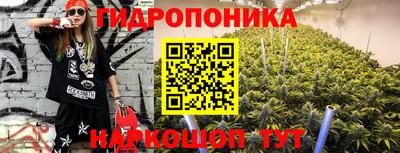 шишки Нальчик