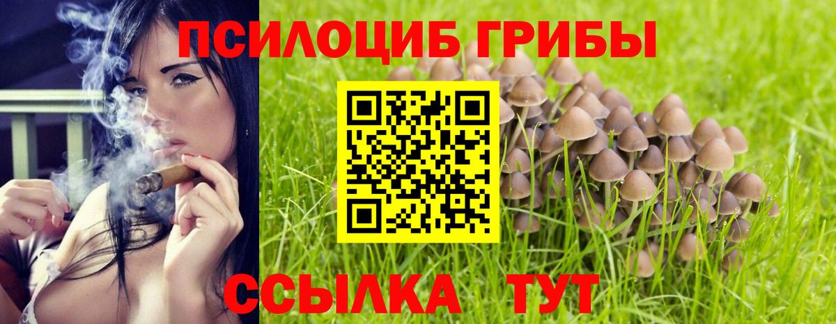 Энгельс  Псилоцибиновые грибы ЛСД  Вход с VPN 